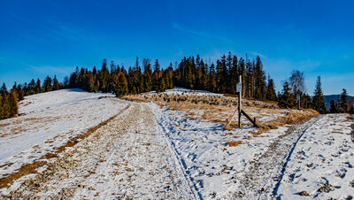 Żółty szlak na wysokości ok. 770 m n.p.m.