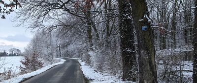 Siedlce ↔ Czerniec