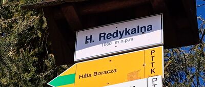 Hala Redykalna