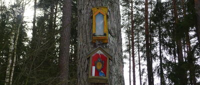 Katrynka ↔ Jurowce