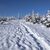 Beskid Śląski - na szlaku w kierunku Malinowskiej Skały