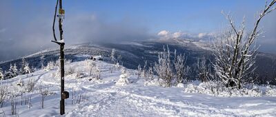 Malinowska Skała [Beskid Śląski - Masyw Skrzycznego z Malinowskiej Skały]