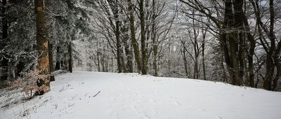 Rozejście szlaków ↔ Przełęcz pod Gancarzem