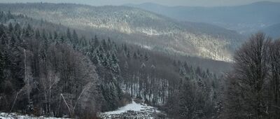 Polana Beskid ↔ Skrzyżowanie przy schronisku Leskowiec