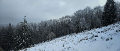 Polana Beskid ↔ Skrzyżowanie przy schronisku Leskowiec