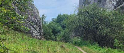 Bolechowice, rozejście szlaków ↔ Wierzchowie, rozejście szlaków