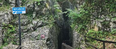 Grota Łokietka [wejscie do groty Łokietka]