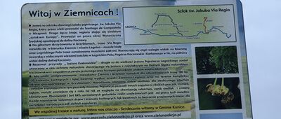 Ziemnice ↔ Legnica, kościół św. Marii Panny