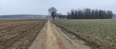 Kwietno ↔ Grzybiany, ul. Legnicka