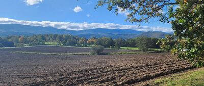 Rozdroże Polana ↔ Rozdroże pod Chmielnikiem