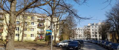 Tarnobrzeg, ul. Skalna Góra [Zielona strzałka na drzewie]