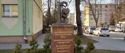 Tarnobrzeg, Biblioteka Pedagogiczna ↔ Tarnobrzeg, szpital