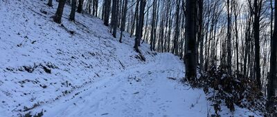 Pod Zebrzydką ↔ Zebrzydka