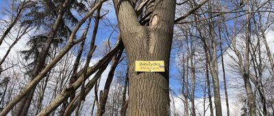 Pod Zebrzydką ↔ Zebrzydka