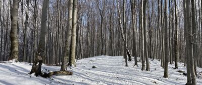 Pod Zebrzydką ↔ Zebrzydka