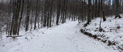 Pod Zebrzydką ↔ Pod Łazkiem