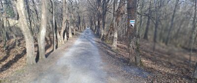 Gorlice, ul. Korczaka ↔ Gorlice, mostek na Stróżowiance