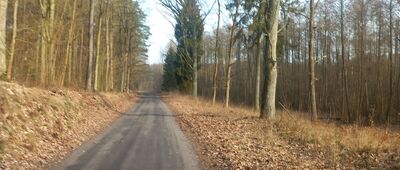 Lisnowo, rozejście szlaków ↔ Rozejście szlaków