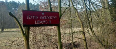 Lisnowo, rozejście szlaków ↔ Rozejście szlaków