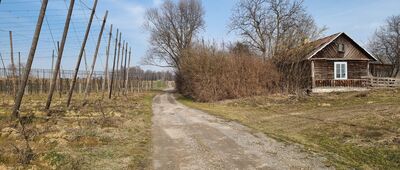 Rogów ↔ Rogów-Kolonia