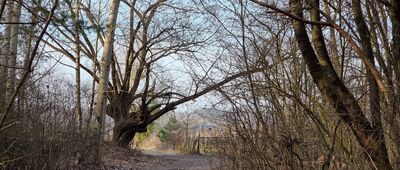 Kazimierz Dolny, studnia ↔ Cholewianka
