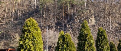 Bystrzyca Górna rozwidlenie [Stok na południu Bystrzycy Górnej]