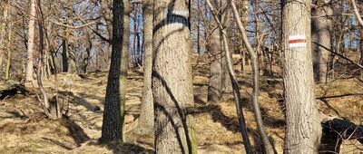 Bystrzyca Górna rozwidlenie [Nad Bystrzycą Górną]