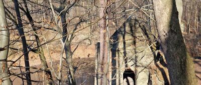 Pogorzała ↔ Jeziorko Daisy [Jeziorko Daisy]