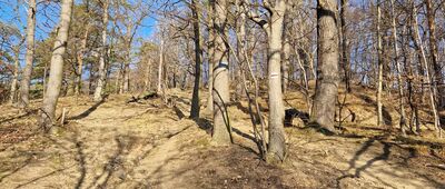 Bystrzyca Górna rozwidlenie [Nad Bystrzycą Górną]