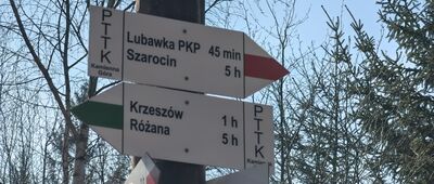 Lipowe siodło
