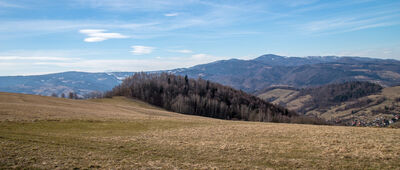 Piwniczna-Zdrój, ul. Kościuszki ↔ Przełęcz Bukowina [Tatry w tle]