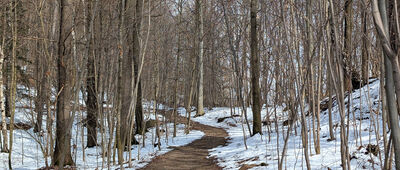 Jelenia Góra, Czarne ↔ Skalista