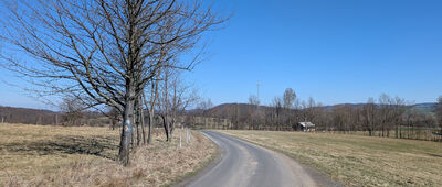 Pokrzywnik, rozejście szlaków