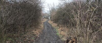 Rozejście szlaków ↔ Pod Vružnou