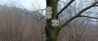 Pod Malým Ostrým, hřeben