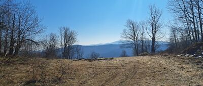 Rozejście szlaków ↔ Stryszawa, Wsiórz