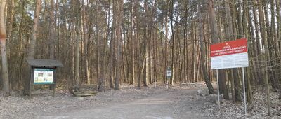 Tarnobrzeg, ul. Borów