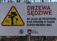 Podgórzyce, rozejście szlaków ↔ Nowogród Bobrzański