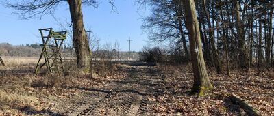 Podgórzyce, rozejście szlaków ↔ Bogaczów