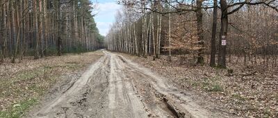 Rozdroże pod Grabowcem ↔ Drzonów