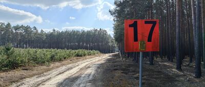 Rozdroże pod Grabowcem ↔ Drzonów