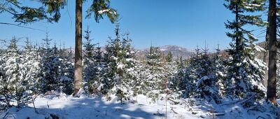 Javorový vrch, rozc.