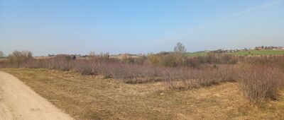 Grążawy ↔ Górzno