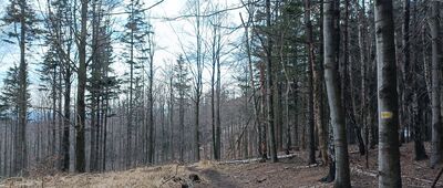 Pod Kłodzką Górą ↔ Szeroka Góra