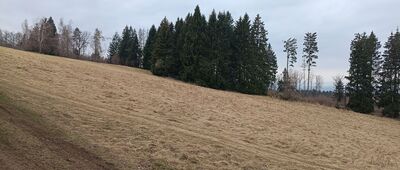 Wysoka Droga ↔ Przełęcz Bardzka