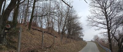 Kukułka, rozejście szlaków