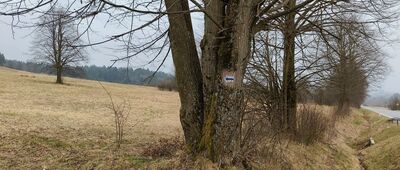 Przełęcz pod Barańcową ↔ Roztoka