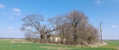 Kobyłki ↔ Dratów [Żółty znak na słupie]