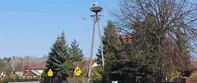 Kaniwola, skrzyżowanie [Kaniwola. Przyleciała wiosna]