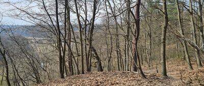 Skała Kmity [Żółty szlak przy Skale Kmity]